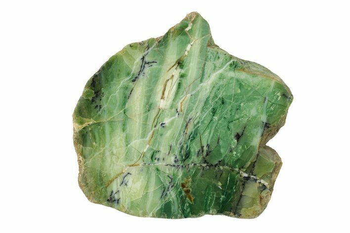 Polished Green-White Opal Slab - Western Australia #280154